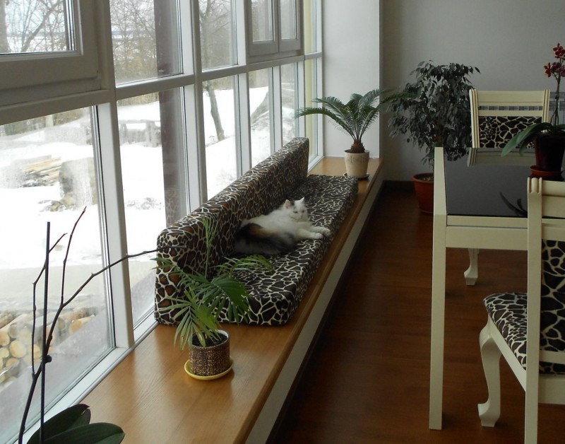 Самые разные идеи украшения зоны подоконника