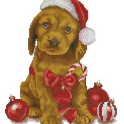 ​Песик в колпачке