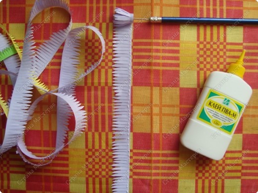 Прекрасная картина с астрами