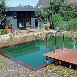 ​Создание пруда-бассейна на загородном участке