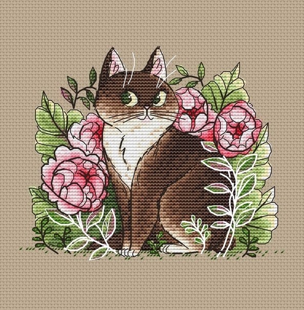 ​Загадочный кот среди цветов