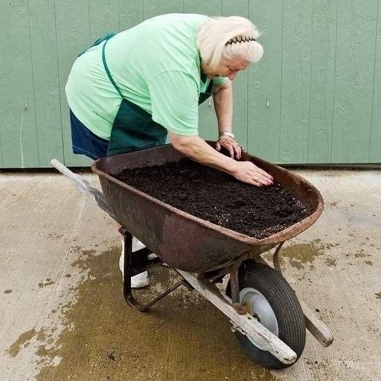 Создаем миниатюрный сад Создаем миниатюрный сад