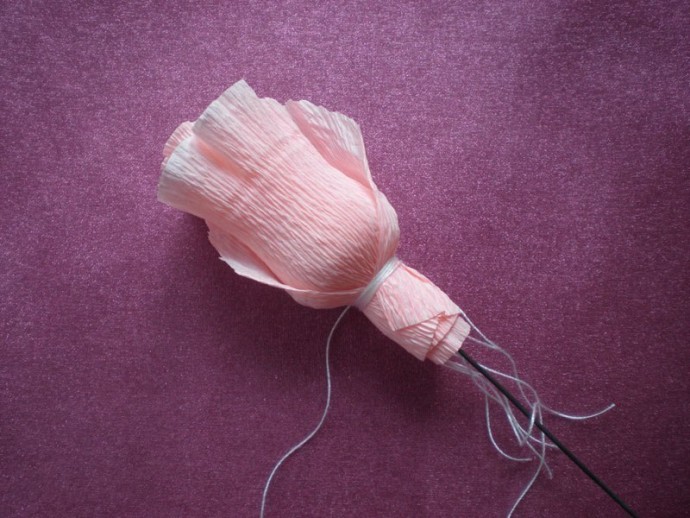 ​Розы в упаковке из полупрозрачных лент