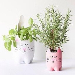 Растения в обрезанных пластиковых бутылках