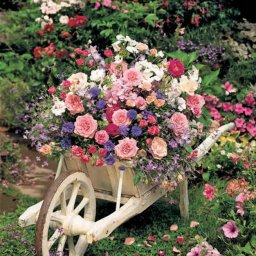 Клумбы из тележек