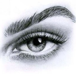 ​Учимся рисовать глаз