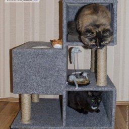 Дом для котика с когтедралкой
