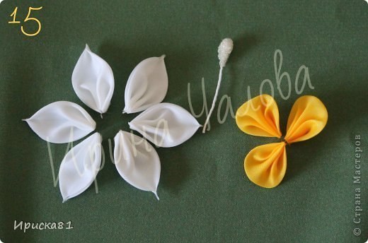 Правдоподобный и изумительно красивый нарцисс