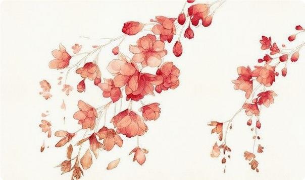 Учимся рисовать цвeты aквapeлью Учимся рисовать цвeты aквapeлью