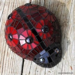 ​Божья коровка для сада