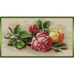 ​Лежащие розы