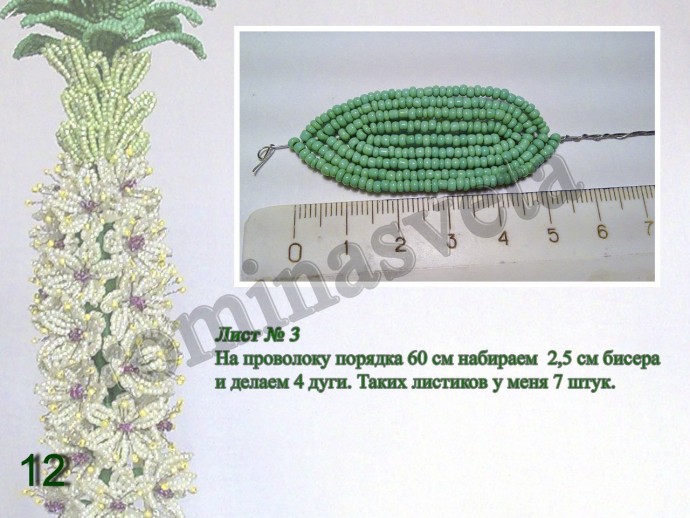 ​Восхитительный эукомис