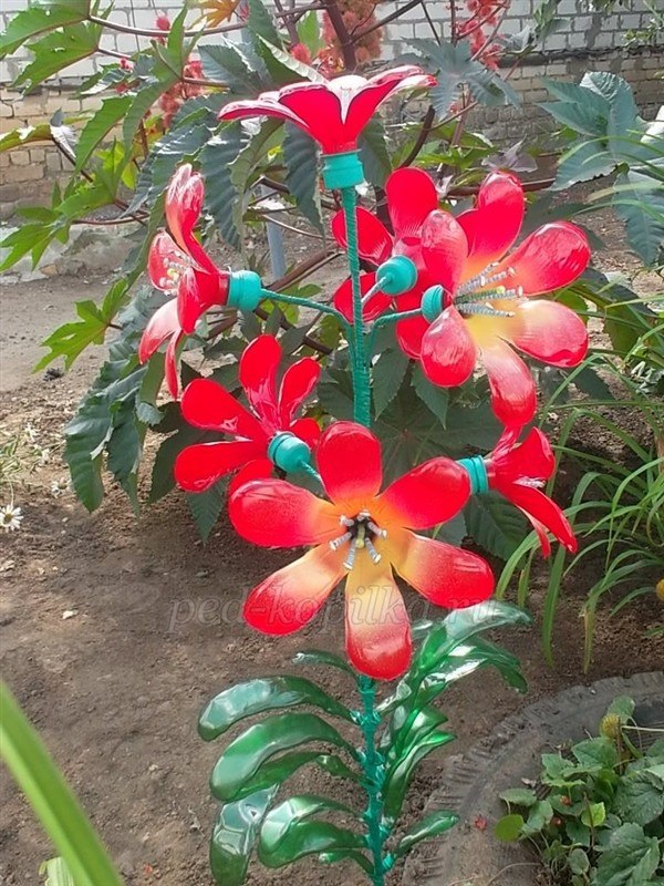 Цветы из пластиковых бутылок для сада