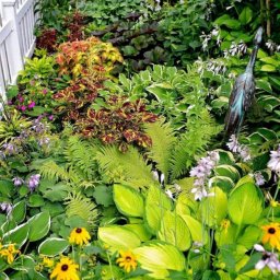 Идеи озеленения участка