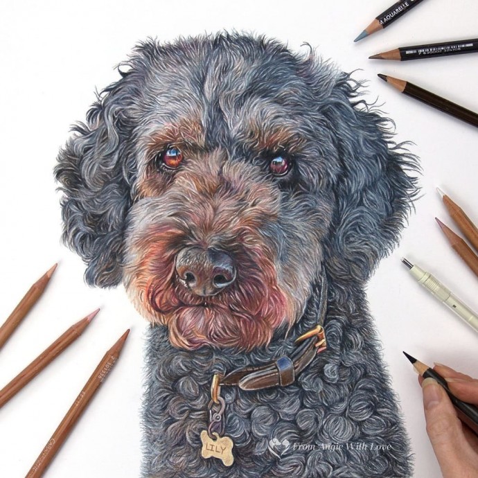 ​Идеи рисования собак карандашами