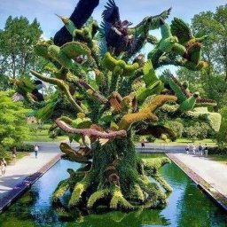 ​Как можно декоративно подстригать деревья