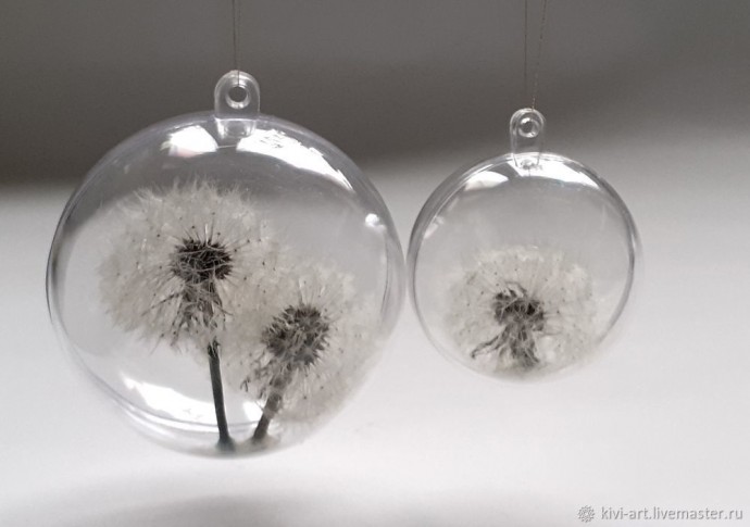 Одуванчиковое счастье