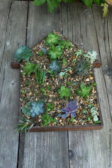 Фито-панно "Домик"