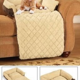 Практичные накидки на диваны для тех, у кого есть питомцы