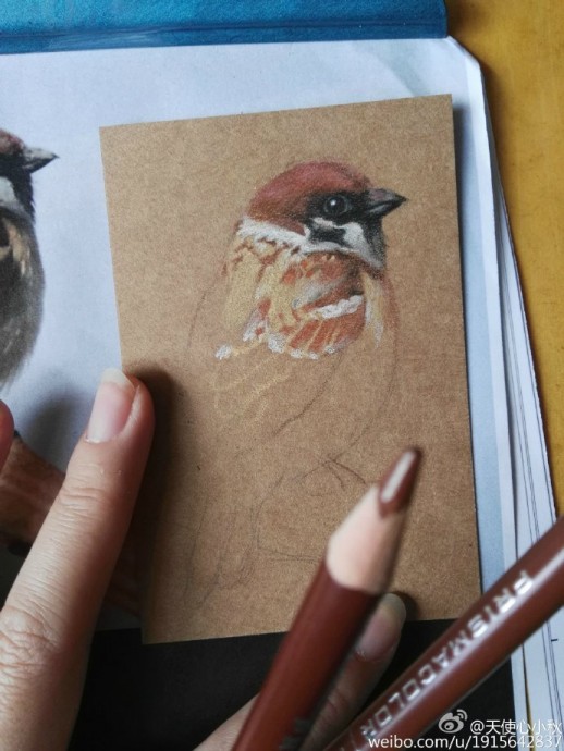 Птица цветными карандашами