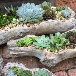 Удачные идеи из коряг