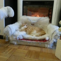 Диваны для кошек из коробок, поролона и искусственного меха