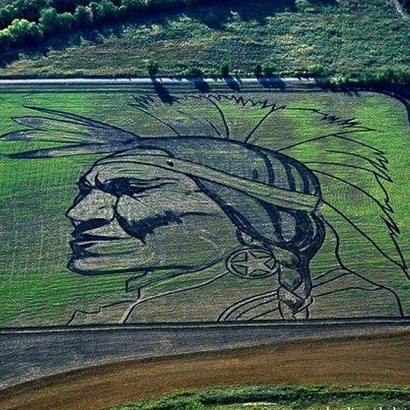 Картины трактором в полях