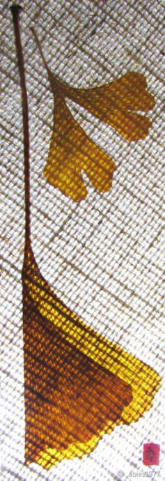 Оригинальная закладка своими руками