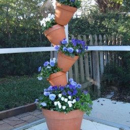 Горшечные композиции: идеи для дачи