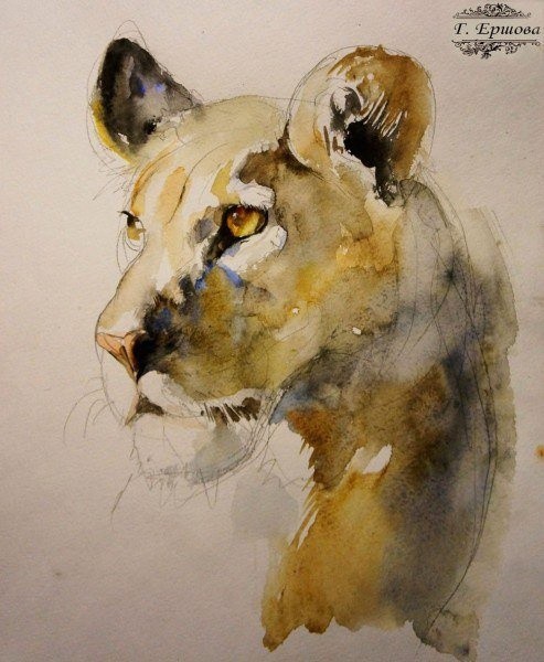 ​Рисуем львицу