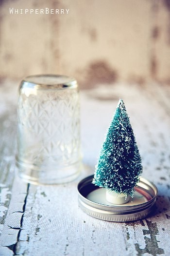 Ёлка в банке или зимний лес под стеклом