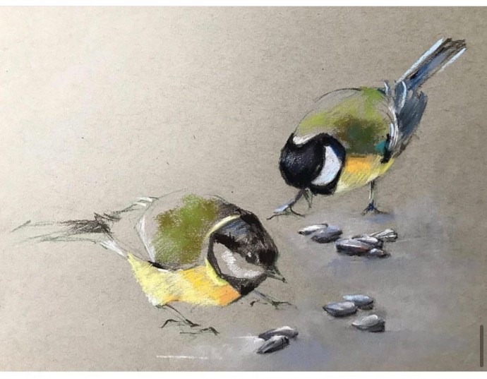 Урок рисования цветными карандашами: синички