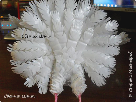 Любовь и голуби: пригласите счастье в дом