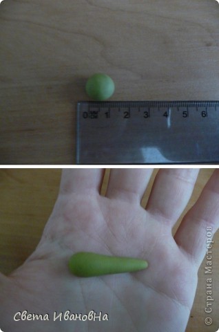 Гладиолус как живой