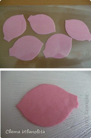 Гладиолус как живой