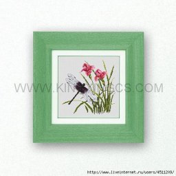 ​Ирисы и стрекоза