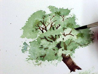 Как нарисовать деревья акварелью
