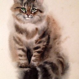 ​Котик акварелью