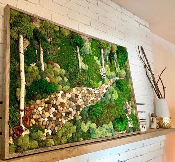 Лесные пейзажи с камнями в рамке Лесные пейзажи с камнями в рамке