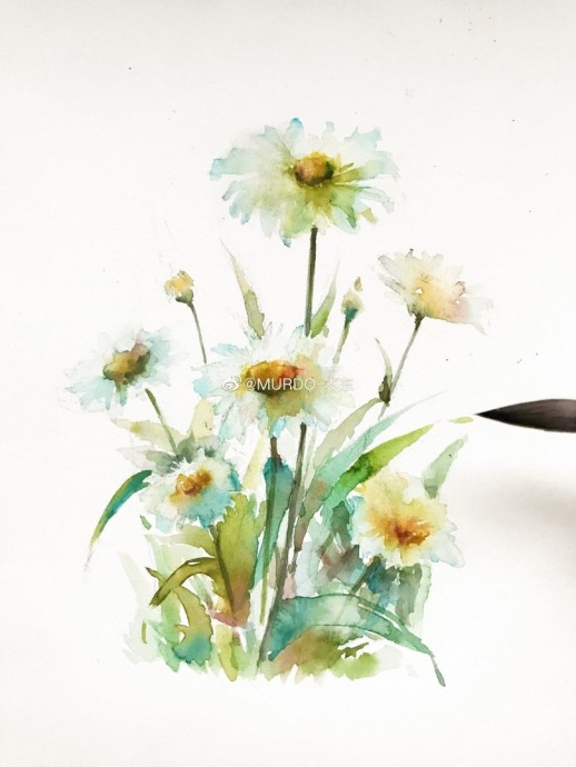 Урок рисования акварелью: ромашки
