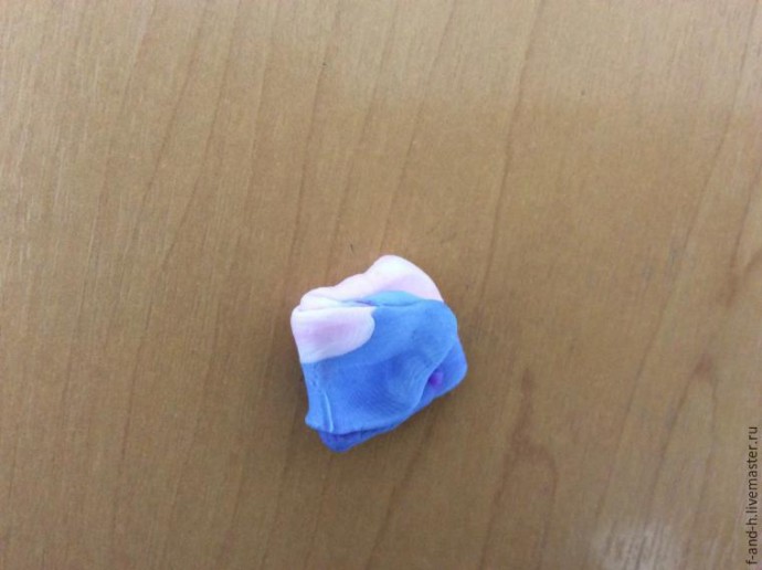 Цветок примулы