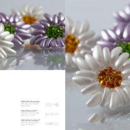 ​Необычные ромашки