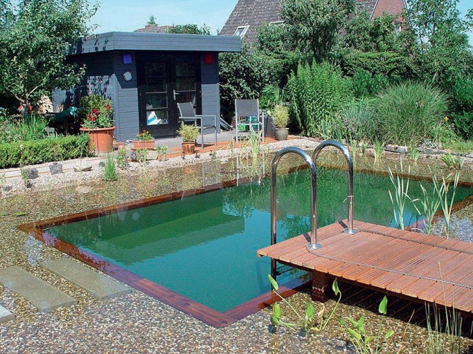 Плавательный пруд на садовом участке