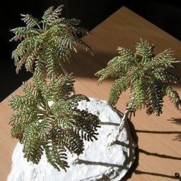 Пушистая пальма из бисера