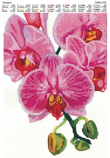 ​Схемы вышивки орхидей