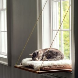 Идеи для пушистых питомцев