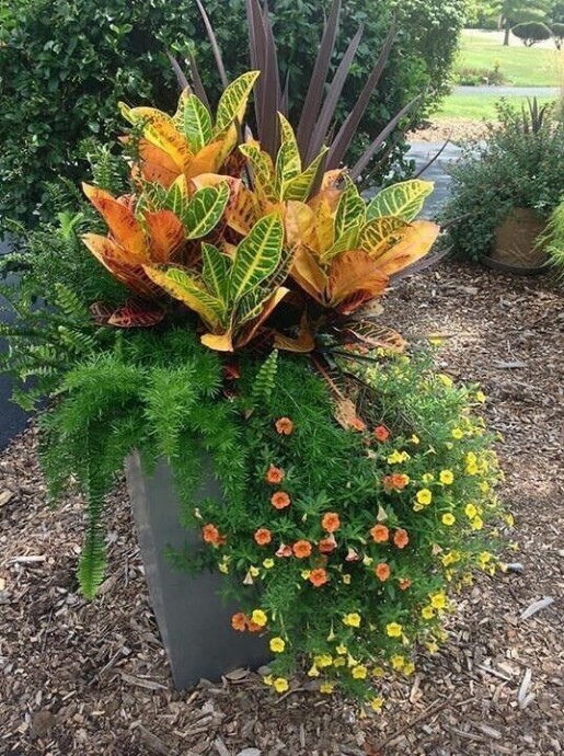 Интересные сочетания живых растений для композиций