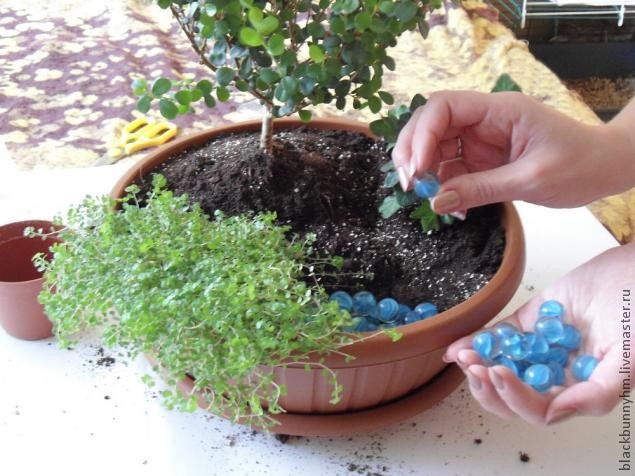 Сад в миниатюре: мастер-класс