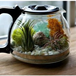 Оригинальный террариум из старого чайника