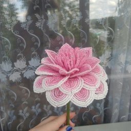 ​Чудесный цветок с множеством лепестков